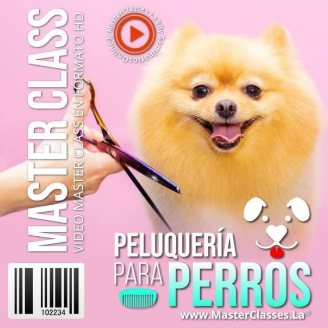 Peluquería para perros
