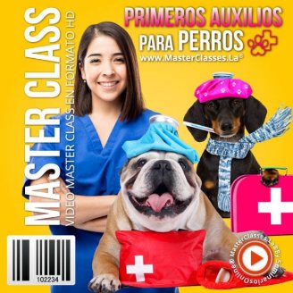 Primeros auxilios para perros